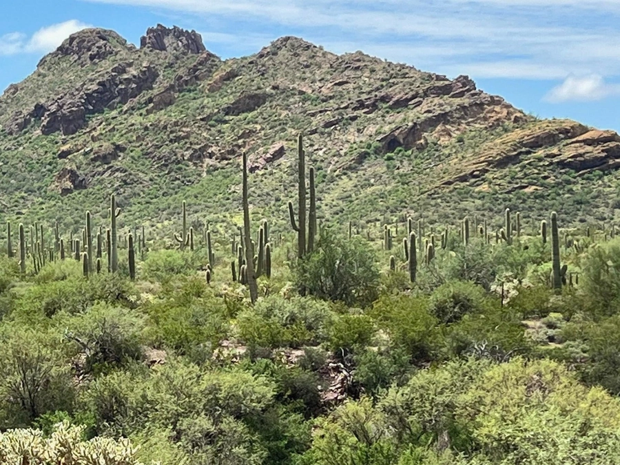 Desert Acreage in Apache County