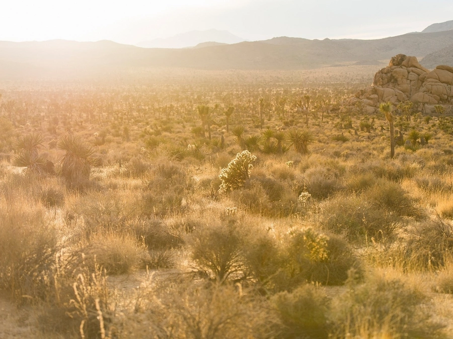 Vacant Lots in Apache County